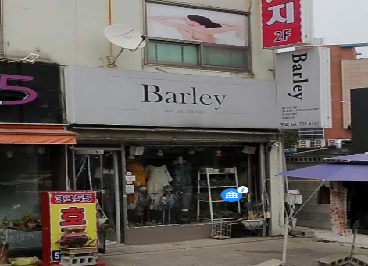 보리