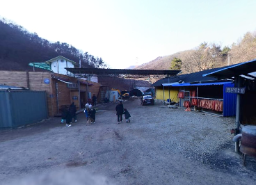 진천참숯