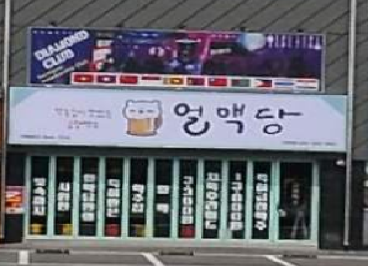 얼맥당 진천점