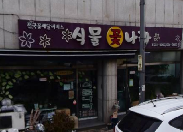 식물꽃나라