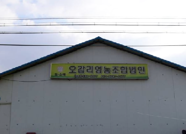 오갑리영농조합법인