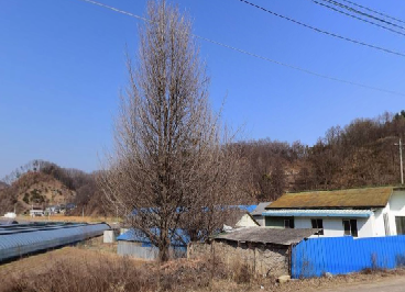 삼영쌀상회