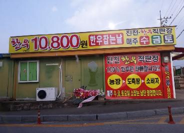 자연한우