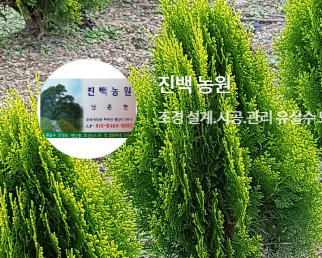 진백조경농원 가맹점 이미지