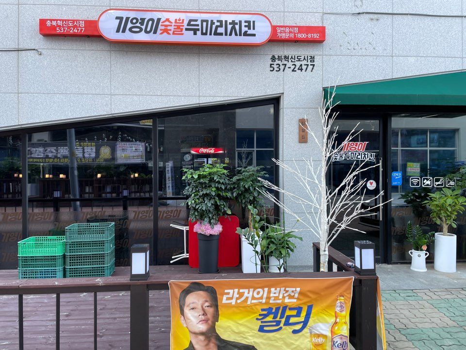기영이숯불두마리치킨 충북혁신도시점 가맹점 이미지