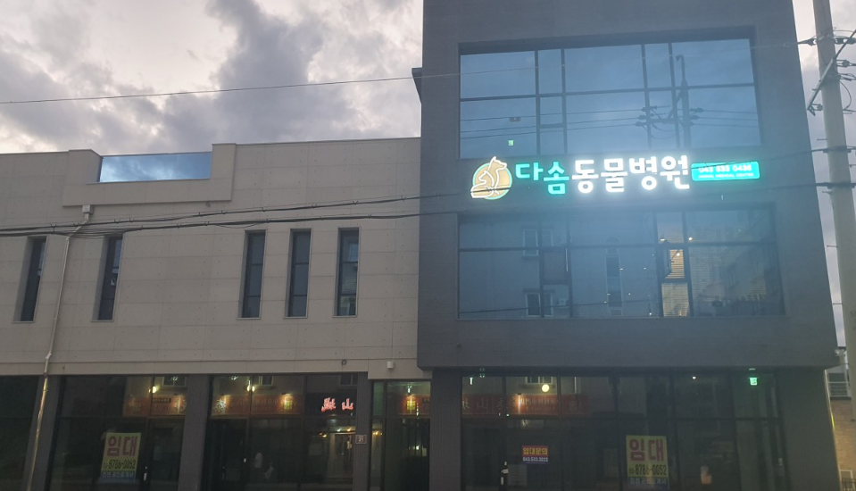 다솜 동물병원 가맹점 이미지