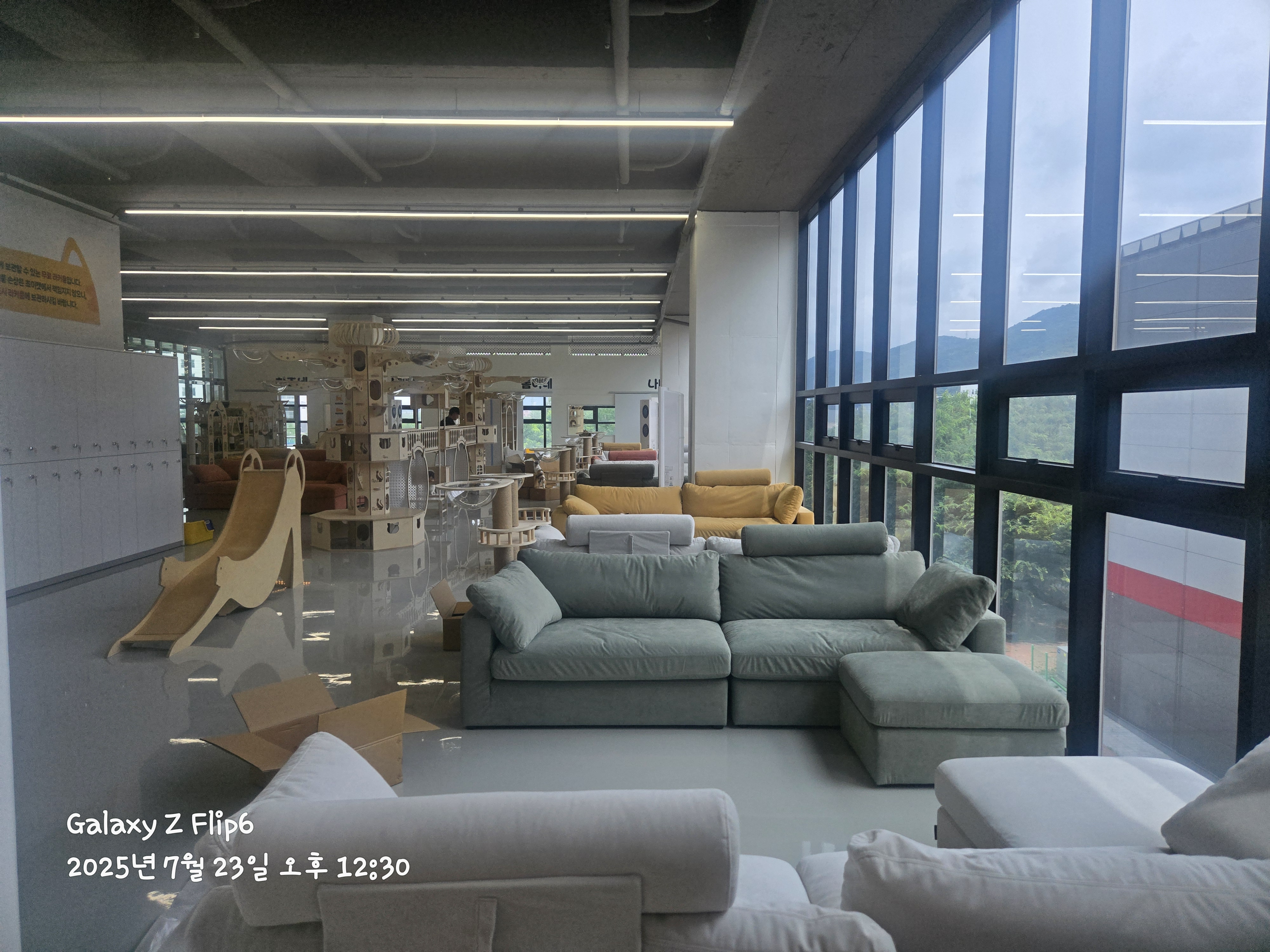 쵸이캣 충북혁신점 가맹점 이미지